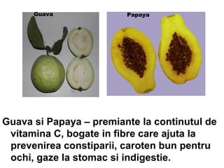 Guava si Papaya – premiante la continutul de vitamina C, bogate in fibre care ajuta la prevenirea constiparii, caroten bun pentru ochi, gaze la stomac si indigestie.  Guava Papaya 