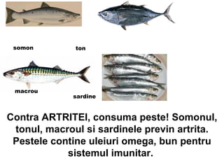 Contra ARTRITEI, consuma peste! Somonul, tonul, macroul si sardinele previn artrita. Pestele contine uleiuri omega, bun pentru sistemul imunitar.  somon ton macrou sardine 