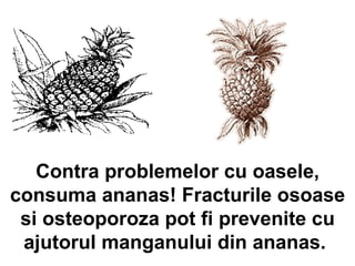 Contra problemelor cu oasele, consuma ananas! Fracturile osoase si osteoporoza pot fi prevenite cu ajutorul manganului din ananas.  