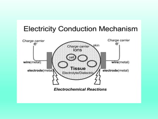 Electricity Conduction Mechanism
Charge carrier                                           Charge carrier
       e-                                      skin           e-
                             Charge carrier
                                 ions
                              cell
wire(metal)                                                wire(metal)

   electrode(metal)
                               Tissue                 electrode(metal)
                          Electrolyte/Dielectric




                      Electrochemical Reactions
 