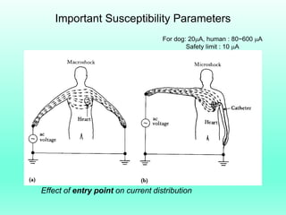 Important Susceptibility Parameters
                                    For dog: 20A, human : 80~600 A
                                            Safety limit : 10 A




Effect of entry point on current distribution
 