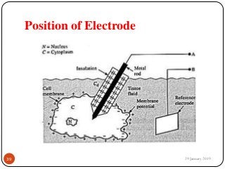Position of Electrode
29 January 201939
 