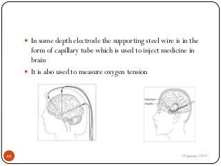  In some depth electrode the supporting steel wire is in the
form of capillary tube which is used to inject medicine in
brain
 It is also used to measure oxygen tension
29 January 201946
 