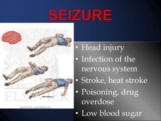 • Head injury
• Infection of the
nervous system
• Stroke, heat stroke
• Poisoning, drug
overdose
• Low blood sugar

 