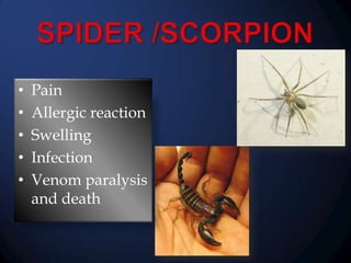 •
•
•
•
•

Pain
Allergic reaction
Swelling
Infection
Venom paralysis
and death

 