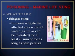 

WHAT TO DO?


Stingray sting:

 Immerse irrigate the

affected area with hot
water (as hot as can
be tolerated) for at
least 20 min or for as
long as pain persists

 