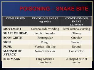 COMPARISON

VENOMOUS SNAKE
e.g. cobra

NON-VENOMOUS
SNAKE
e.g. python

Cortina ,side-winding

Semi-cortina, curving

Semi- triangular

Oblong

Rectangular

Circular

SKIN

Rough

Smooth

PUPIL

Vertical, slit-like

Round

MANNER OF
ATTACK

Non-constrictor

Constrictor

BITE MARK

Fang Marks: 2
punctures

U-shaped row of
marks

MOVEMENT

SHAPE OF HEAD
BODY GIRTH

 