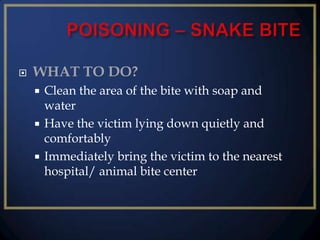 

WHAT TO DO?
Clean the area of the bite with soap and
water
 Have the victim lying down quietly and
comfortably
 Immediately bring the victim to the nearest
hospital/ animal bite center


 