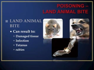 

LAND ANIMAL
BITE


Can result to:
 Damaged tissue

 Infection
 Tetanus
 rabies

 