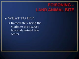 

WHAT TO DO?


Immediately bring the
victim to the nearest
hospital/animal bite
center

 
