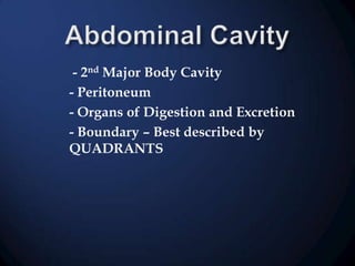 - 2nd Major Body Cavity
- Peritoneum
- Organs of Digestion and Excretion
- Boundary – Best described by
QUADRANTS

 