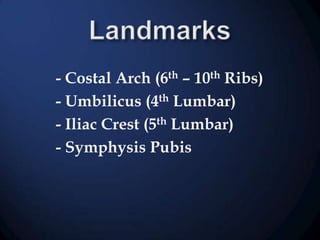 - Costal Arch (6th – 10th Ribs)
- Umbilicus (4th Lumbar)
- Iliac Crest (5th Lumbar)
- Symphysis Pubis

 