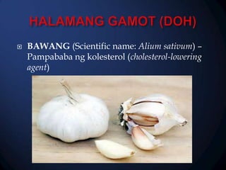 

BAWANG (Scientific name: Alium sativum) –
Pampababa ng kolesterol (cholesterol-lowering
agent)

 