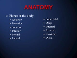 

Planes of the body
Anterior
 Posterior
 Superior
 Inferior
 Medial
 Lateral


Superficial
 Deep
 Internal
 External
 Proximal
 Distal


 