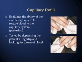 



Evaluates the ability of the
circulatory system to
restore blood to the
capillary system
(perfusion)
Tested by depressing the
patient’s fingertip and
looking for return of blood

 