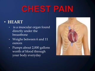 • HEART
•

•
•

is a muscular organ found
directly under the
breastbone
Weighs between 6 and 11
ounces
Pumps about 2,000 gallons
worth of blood through
your body everyday

 
