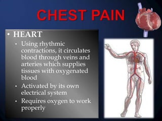 • HEART
Using rhythmic
contractions, it circulates
blood through veins and
arteries which supplies
tissues with oxygenated
blood
• Activated by its own
electrical system
• Requires oxygen to work
properly
•

 