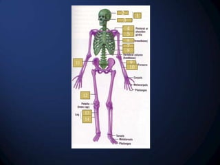 2
3

1

4
5
6

7
8

9
10

11

12

13
14

 