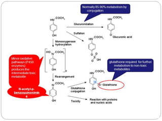 MECHANISM OF TOXICITY
 A small proportion of acetaminophen is
metabolized by a phase I reaction to a
hepatotoxic metaboli...