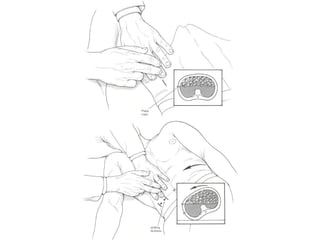 Medical Encyclopedia