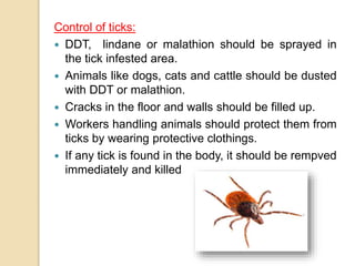Control of ticks:
 DDT, lindane or malathion should be sprayed in
the tick infested area.
 Animals like dogs, cats and cattle should be dusted
with DDT or malathion.
 Cracks in the floor and walls should be filled up.
 Workers handling animals should protect them from
ticks by wearing protective clothings.
 If any tick is found in the body, it should be rempved
immediately and killed
 