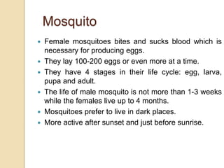 Mosquito
 Female mosquitoes bites and sucks blood which is
necessary for producing eggs.
 They lay 100-200 eggs or even more at a time.
 They have 4 stages in their life cycle: egg, larva,
pupa and adult.
 The life of male mosquito is not more than 1-3 weeks
while the females live up to 4 months.
 Mosquitoes prefer to live in dark places.
 More active after sunset and just before sunrise.
 