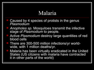 Malaria
 Caused by 4 species of protists in the genus
Plasmodium
 Anopholes sp. Mosquitoes transmit the infective
stage of Plasmodium to people.
 Active Plasmodium destroy large quantities of red
blood cells
 There are 300-500 million infections/yr world-
wide, with 1 million deaths/yr.
 Malaria has been virtually eradicated in the United
States (US citizens with malaria have contracted
it in other parts of the world)
 