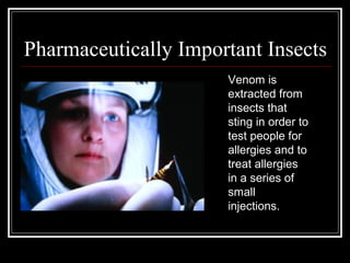 Pharmaceutically Important Insects
Venom is
extracted from
insects that
sting in order to
test people for
allergies and to
treat allergies
in a series of
small
injections.
 