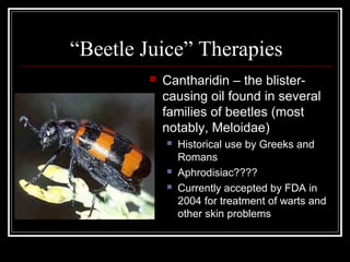 “Beetle Juice” Therapies
 Cantharidin – the blister-
causing oil found in several
families of beetles (most
notably, Meloidae)
 Historical use by Greeks and
Romans
 Aphrodisiac????
 Currently accepted by FDA in
2004 for treatment of warts and
other skin problems
 