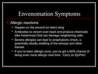 Envenomation Symptoms
 Allergic reactions
 Happen on the second (or later) sting
 Antibodies to venom over-react and produce chemicals
(like histamines) that can damage neighboring cells.
 Severe allergies can lead to anaphylactic shock, a
potentially deadly swelling of the airways and other
tissues.
 If you’ve been allergic once, you’ve got a 60% chance of
being even more allergic next time. Carry an EpiPen!
 