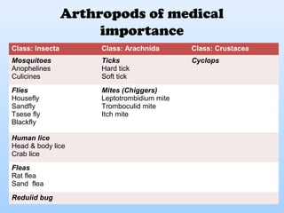 Medical Insecta Medical entomology and vector bionomics | PPT