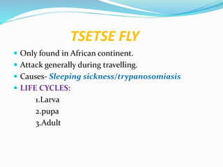 Medical entomology | PPTX