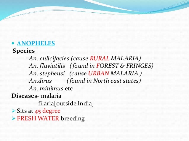 view global corruption report 2006 special focus corruption and health
