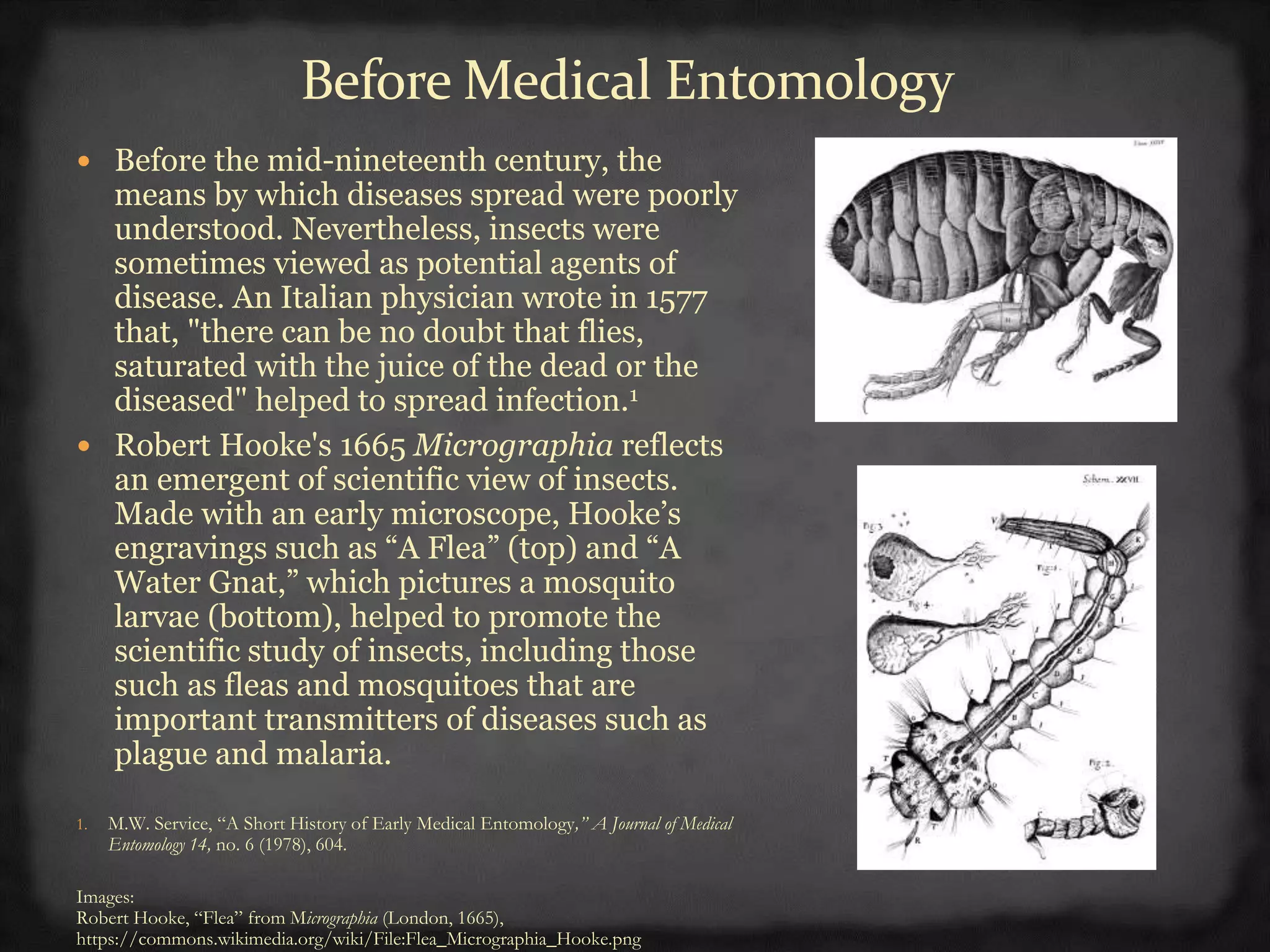 Medical entomology | PPTX | Biological Sciences | Science
