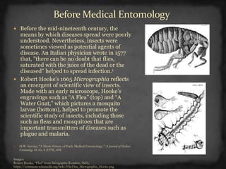 Before Medical Entomology
 Before the mid-nineteenth century, the
means by which diseases spread were poorly
understood. Nevertheless, insects were
sometimes viewed as potential agents of
disease. An Italian physician wrote in 1577
that, "there can be no doubt that flies,
saturated with the juice of the dead or the
diseased" helped to spread infection.1
 Robert Hooke's 1665 Micrographia reflects
an emergent of scientific view of insects.
Made with an early microscope, Hooke’s
engravings such as “A Flea” (top) and “A
Water Gnat,” which pictures a mosquito
larvae (bottom), helped to promote the
scientific study of insects, including those
such as fleas and mosquitoes that are
important transmitters of diseases such as
plague and malaria.
1. M.W. Service, “A Short History of Early Medical Entomology,” A Journal of Medical
Entomology 14, no. 6 (1978), 604.
Images:
Robert Hooke, “Flea” from Micrographia (London, 1665),
https://commons.wikimedia.org/wiki/File:Flea_Micrographia_Hooke.png
 