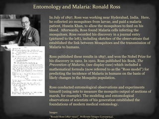 In July of 1897, Ross was working near Hyderabad, India. Here,
he collected 20 mosquitoes from larvae, and paid a malaria
patient, Husein Khan, to allow the mosquitoes to feed on his
blood. Afterwards, Ross found Malaria cells infecting the
mosquitoes. Ross recorded his discovery in a journal entry
(pictured to the left), including sketches of the observations that
established the link between Mosquitoes and the transmission of
Malaria to humans.
Ross published these results in 1897, and won the Nobel Prize for
his discovery in 1902. In 1910, Ross published his Book, The
Prevention of Malaria, (see display case) which included a
mathematical formula (now referred to as the "Ross model") for
predicting the incidence of Malaria in humans on the basis of
likely changes in the Mosquito population.
Ross conducted entomological observations and experiments
himself (using nets to measure the mosquito output of sections of
marsh, for example). The modeling and entomological
observations of scientists of his generation established the
foundations of modern medical entomology.
Images:
“Ronald Ross (1857-1932)”, Wellcome Images (L0029054),
Entomology and Malaria: Ronald Ross
 