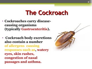Medical Entomology , Insects of Medical importance.ppt