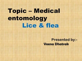 Topic – Medical
entomology
Lice & flea
Presented by:-
Veena Dhatrak
 