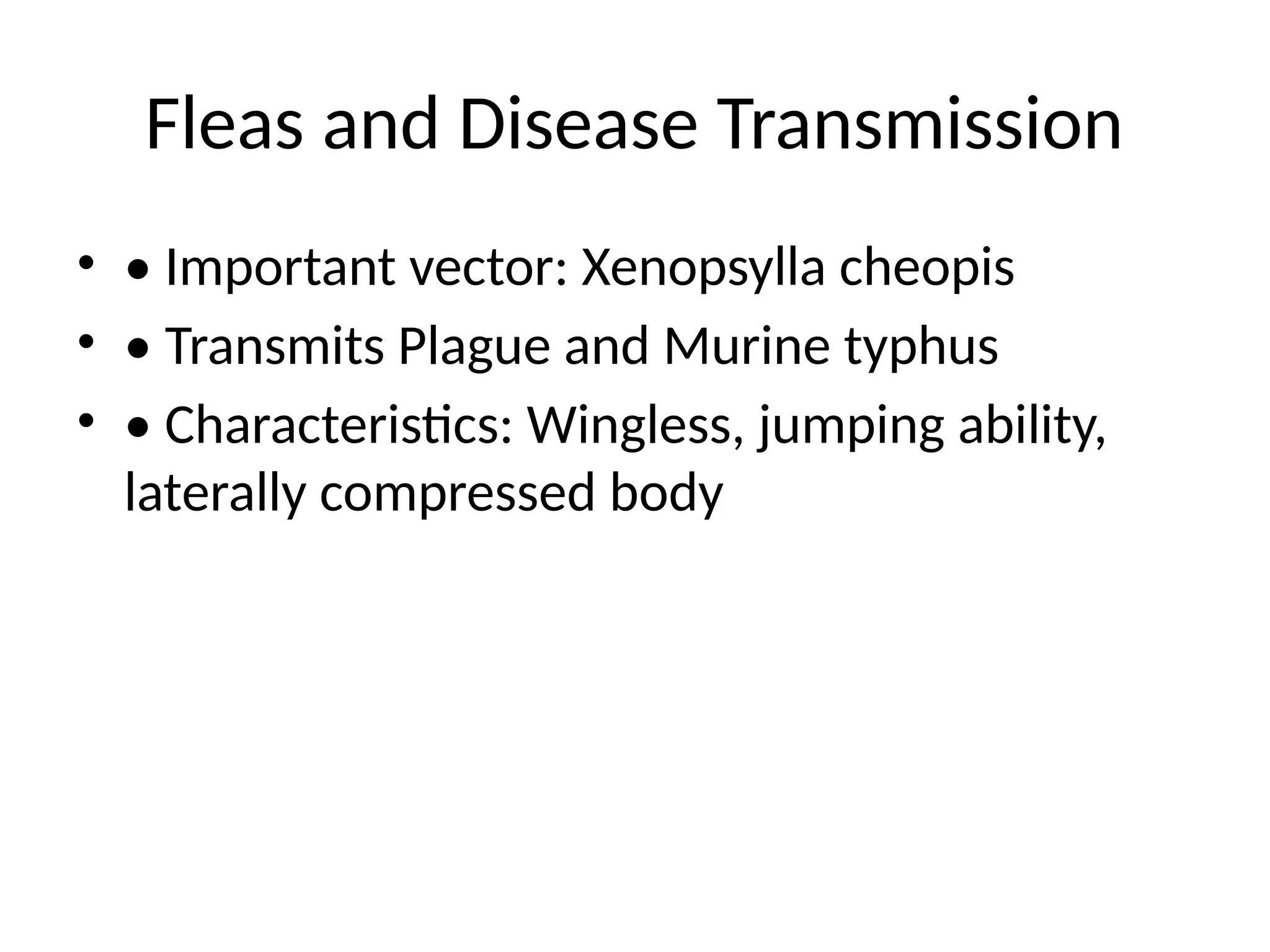 Fleas and Disease Transmission
• • Important vector: Xenopsylla cheopis
• • Transmits Plague and Murine typhus
• • Characteristics: Wingless, jumping ability,
laterally compressed body
 