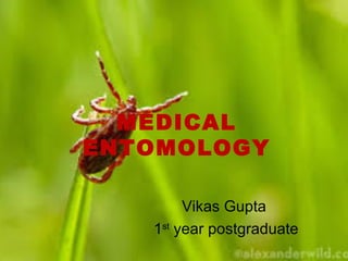 MEDICAL
ENTOMOLOGY
Vikas Gupta
1st
year postgraduate
 
