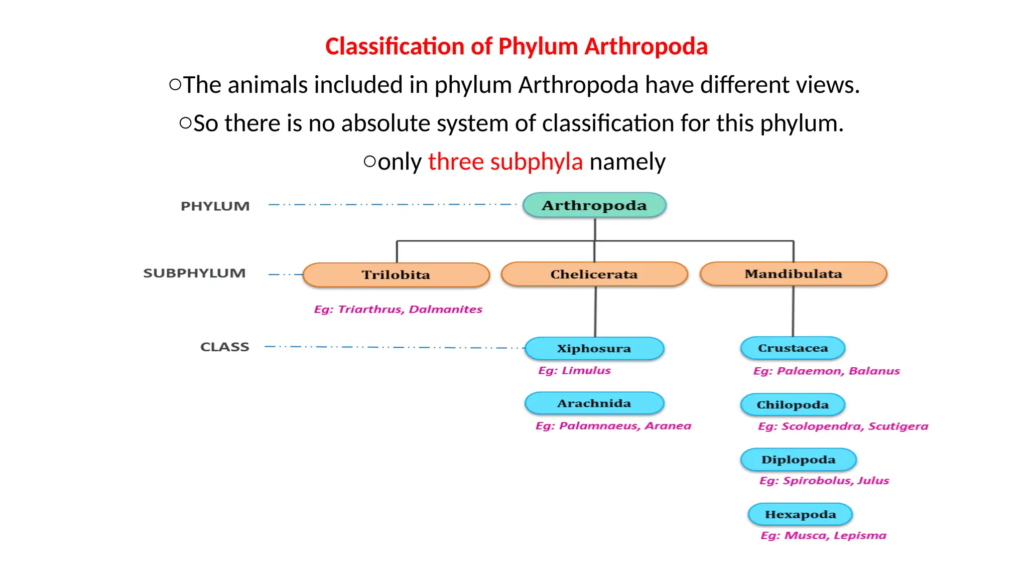 medical_entomology__and_vector_control_ppt[1].ppt