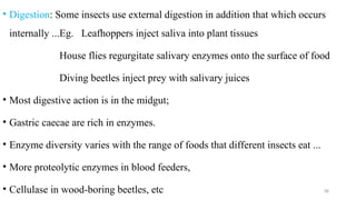 medical_entomology__and_vector_control_ppt[1].ppt