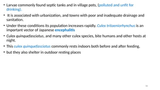 medical_entomology__and_vector_control_ppt[1].ppt