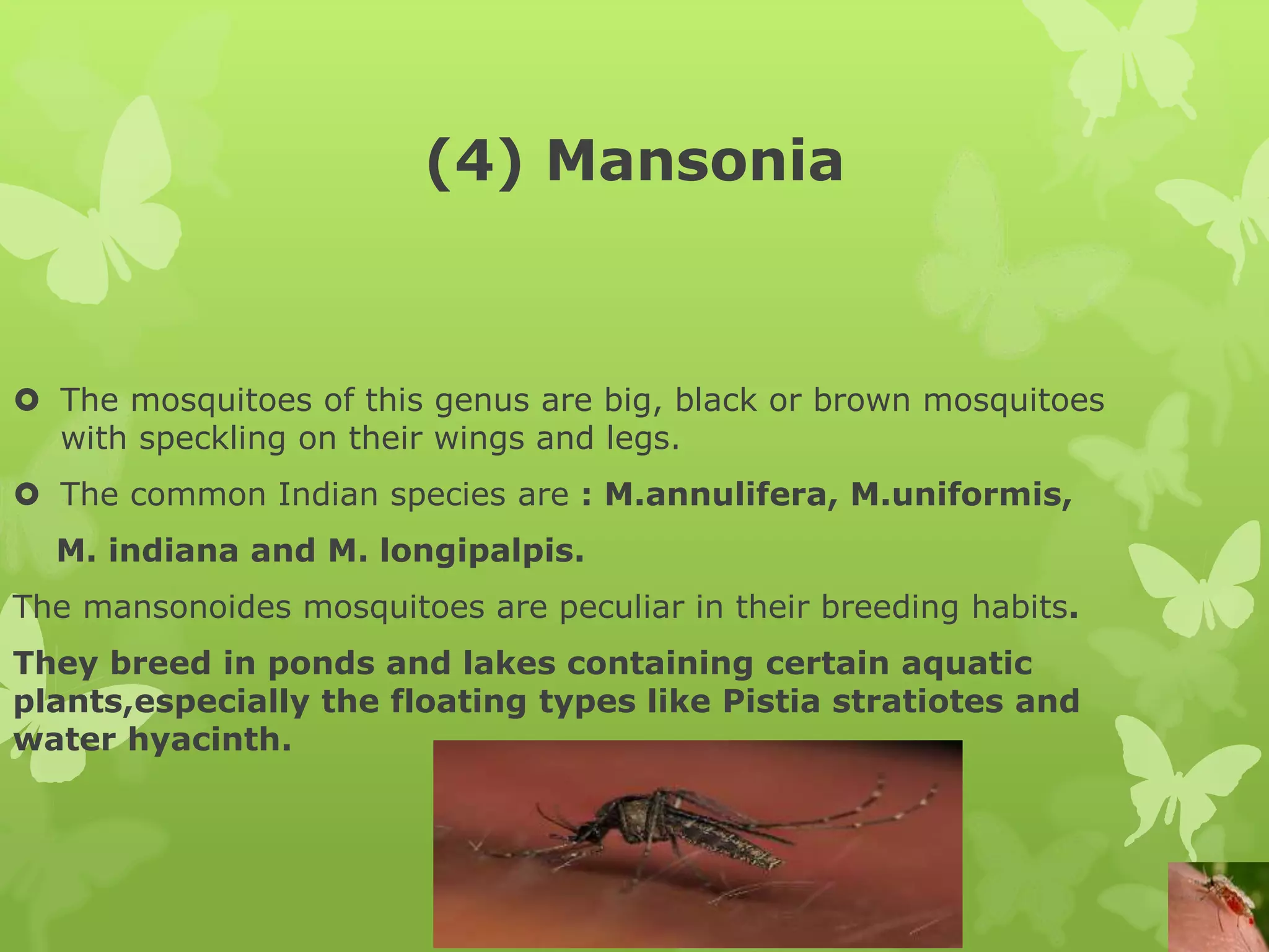 Medical entomology lecture ppt | PPTX