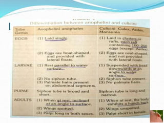 Medical entomology lecture ppt | PPTX