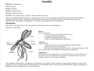Medical entomology lecture ppt | PPTX