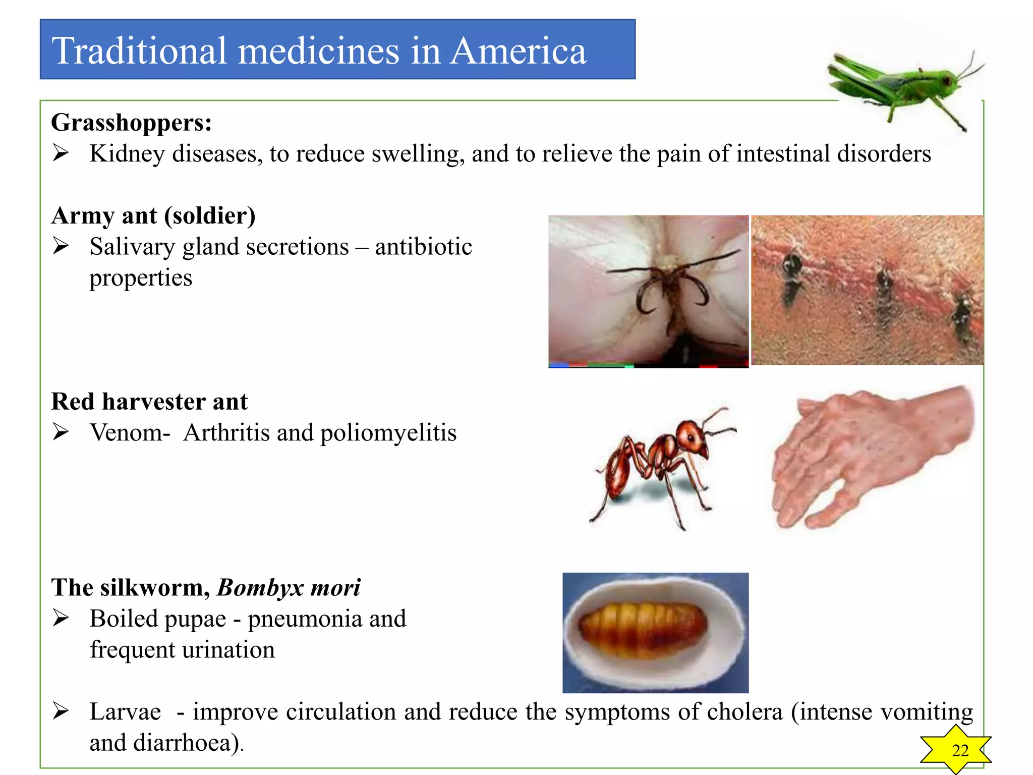 Medical Insecta Medical Entomology - The role of insects in human medicine | PPTX