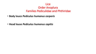 Lice
Order Anoplura
Families Pediculidae and Phthiridae
• Body louce Pediculus humanus corporis
• Head louse Pediculus humanus capitis
 
