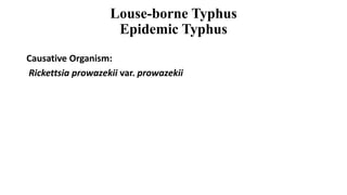 Louse-borne Typhus
Epidemic Typhus
Causative Organism:
Rickettsia prowazekii var. prowazekii
 