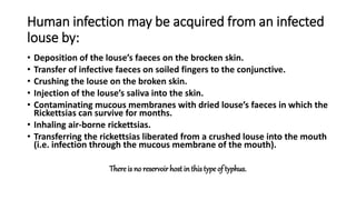 Human infection may be acquired from an infected
louse by:
• Deposition of the louse’s faeces on the brocken skin.
• Transfer of infective faeces on soiled fingers to the conjunctive.
• Crushing the louse on the broken skin.
• Injection of the louse’s saliva into the skin.
• Contaminating mucous membranes with dried louse’s faeces in which the
Rickettsias can survive for months.
• Inhaling air-borne rickettsias.
• Transferring the rickettsias liberated from a crushed louse into the mouth
(i.e. infection through the mucous membrane of the mouth).
There is no reservoir host in this type of typhus.
 